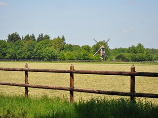 Maison de vacances Heeze-Leende Environnement 27