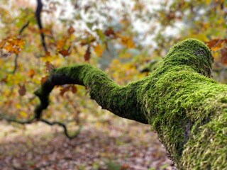 Vakantiehuis Heeze-Leende Omgeving 17