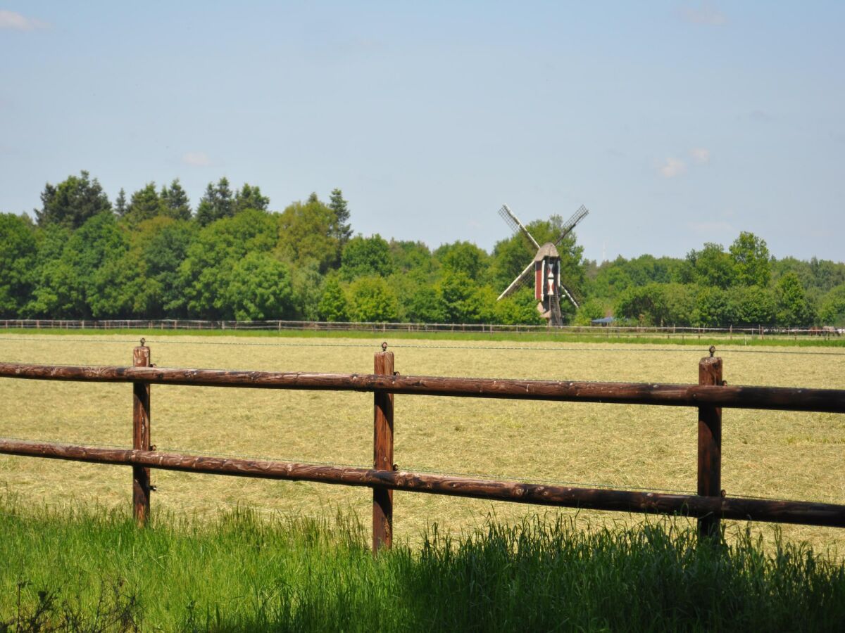 Ferienhaus Heeze-Leende Umgebung 17