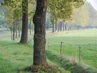 Holiday house Heeze-Leende Environment 21