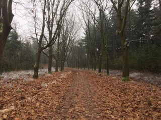 Vakantiehuis Heeze-Leende Omgeving 23