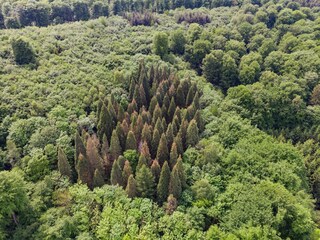 Appartement Kurtscheid Buitenaudio-opname 4