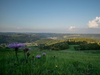 Appartement Kurtscheid Buitenaudio-opname 10
