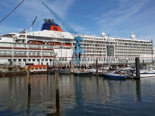 Traumschiff am Steubenhöft