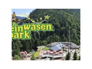 Holiday apartment Schwarzwald Environment 25