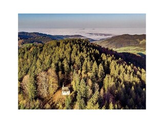 Holiday apartment Schwarzwald Environment 29