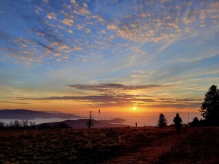 Holiday apartment Schwarzwald Environment 30