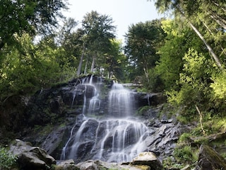 Holiday apartment Schwarzwald Environment 31