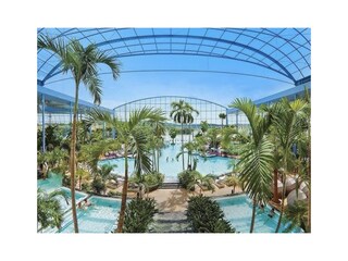 Holiday apartment Schwarzwald Environment 33