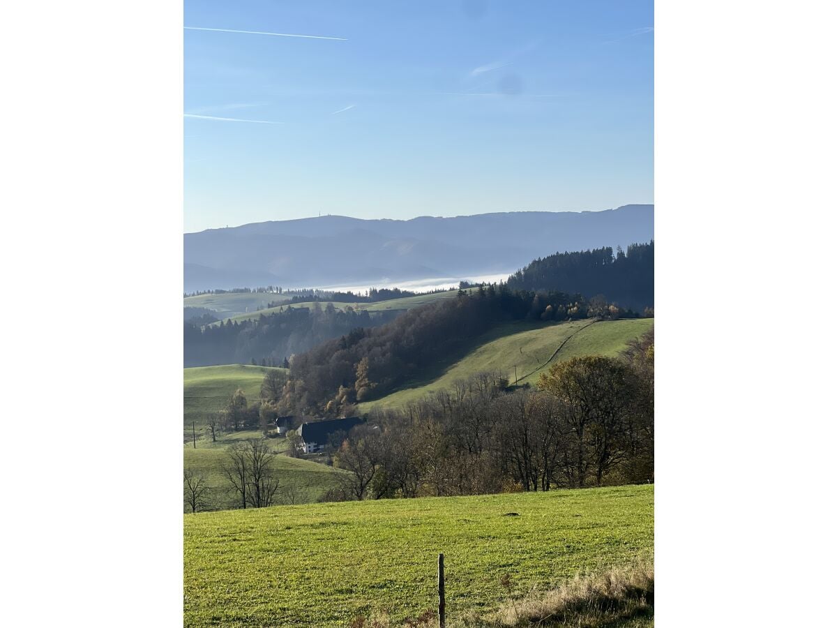 Blick auf die Ferienwohnung/Klausenhof