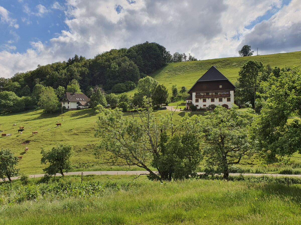 Klausenhof mit Ferienwohnung im Nebengebäude