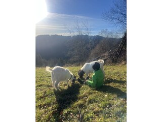 Appartamento per vacanze Schwarzwald Registrazione all'aperto 12
