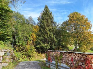 Wanderweg direkt am Haus vorbei in Richtung Innerberg