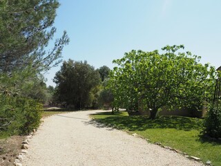Villa Lambesc Buitenaudio-opname 10
