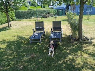 Urlaub für den Hund