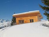 Chalet Peisey-Nancroix Buitenaudio-opname 1