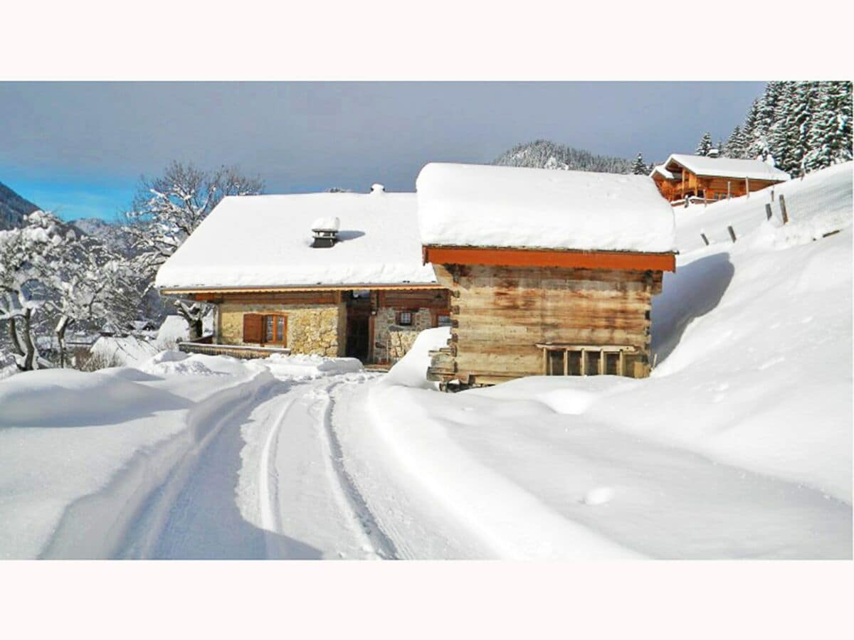 Chalet Châtel Außenaufnahme 1