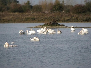 Ferienpark Noyelles-sur-Mer Umgebung 26