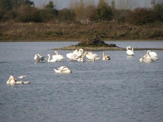 Parc de vacances Noyelles-sur-Mer Environnement 23