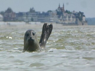 Vakantiepark Noyelles-sur-Mer Omgeving 46