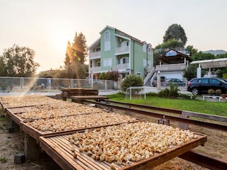 Villa Rogotin Buitenaudio-opname 11