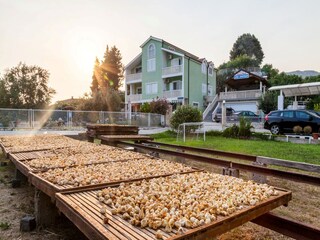 Villa Rogotin Buitenaudio-opname 5