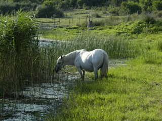 Villa Rogotin Grabación al aire libre 9