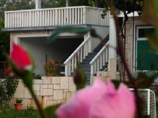 Apartment Rogotin Außenaufnahme 8