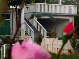 Apartment Rogotin Außenaufnahme 4