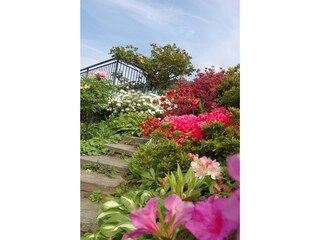 Appartamento per vacanze Porto Valtravaglia Ambiente 28