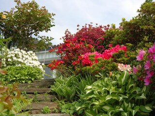 Appartamento per vacanze Porto Valtravaglia Registrazione all'aperto 11