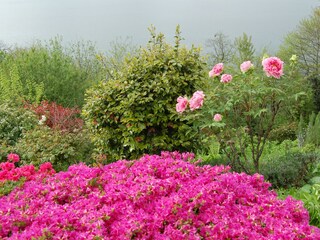 Appartamento per vacanze Porto Valtravaglia Registrazione all'aperto 14