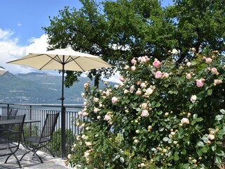 A place to sunbathe and enjoy the view by the pool