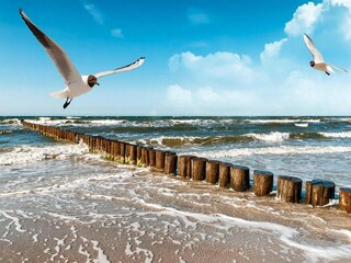 Vakantiepark Wicie  24