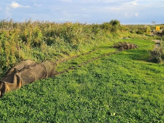 Ferienhaus Fjand  34