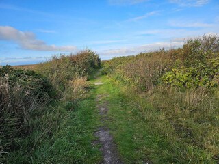 Casa per le vacanze Fjand  38