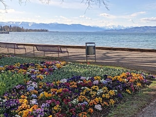 Ferienwohnung Kressbronn am Bodensee Ausstattung 13