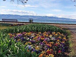 Ferienwohnung Kressbronn am Bodensee Ausstattung 17