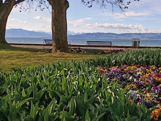Ferienwohnung Kressbronn am Bodensee Ausstattung 18
