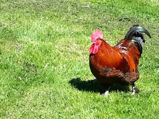 Ferienwohnung Neukirch Ausstattung 4