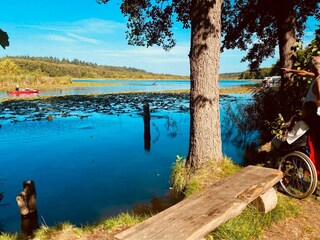 Vakantiehuis Granzow Omgeving 32