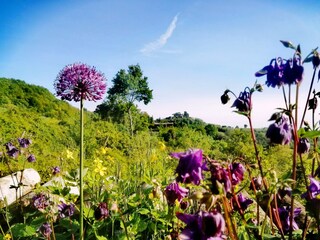 Appartamento per vacanze Sugano Registrazione all'aperto 21