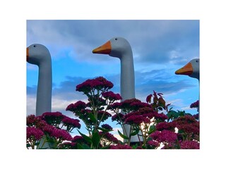 Appartamento per vacanze Sugano Registrazione all'aperto 22