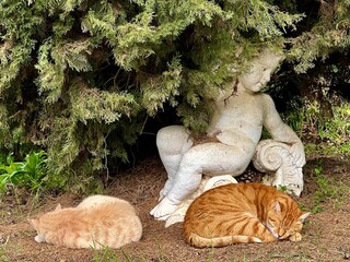 Vakantieappartement Sugano Buitenaudio-opname 19