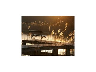 Holiday house Granzow Environment 25