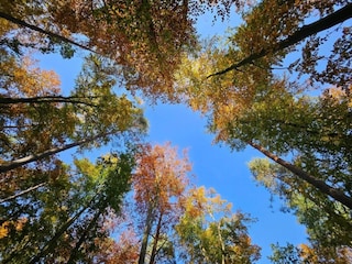 Apartment Rechlin Umgebung 38