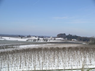 Winterlandschaft bei Kressbronn