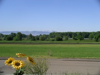 Blick vom Balkon - Säntis im Hintergrund