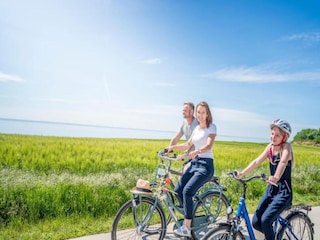 Apartment Rechlin Environment 20