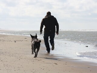 Casa per le vacanze Noordwijk Ambiente 15